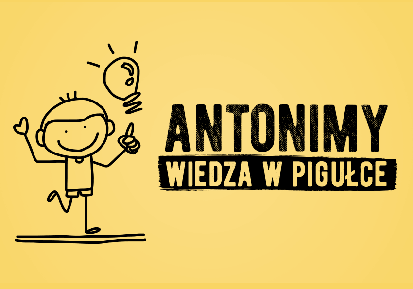 Antonimy – wiedza w pigułce, definicja, przykłady - Polszczyzna.pl