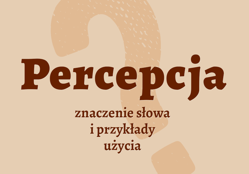 Percepcja co to jest czym jest definicja znaczenie pojęcie wyjasnienie percepcyjny percepcja synonim jak nazwać inaczej kto jak kogo słownik Polszczyzna.pl