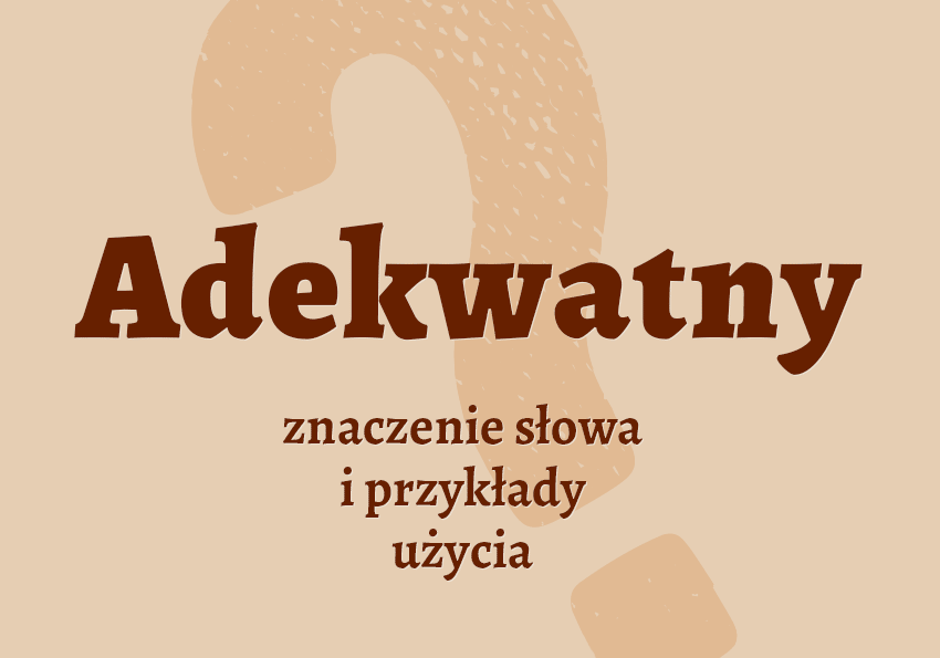 Adekwatny - czyli jaki? Definicja. Co to znaczy? Znaczenie, synonimy. Słownik Polszczyzna.pl