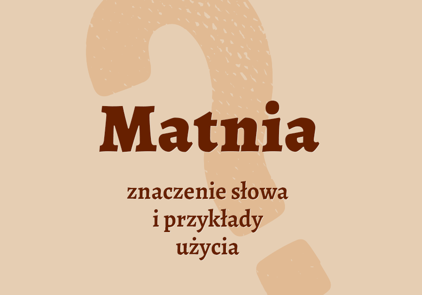 Matnia - co to jest? Definicja, synonimy, słownik Polszczyzna.pl