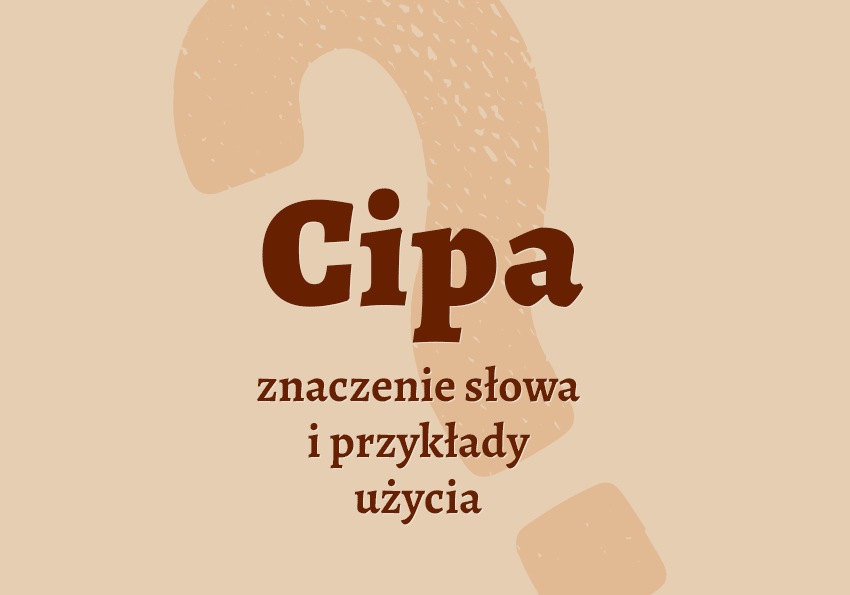 cipa co to jest czym jest znaczenie definicja hasło pojęcie czym jest jak nazwać cipa synonim cipy wyrazy pokrewne przykłady użycia jak inaczej określenia słownik Polszczyzna.pl