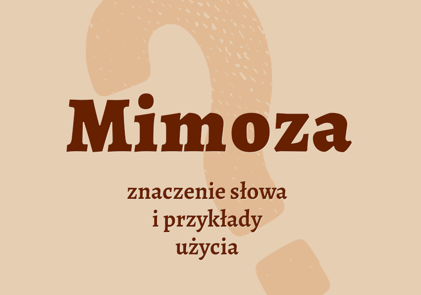 Mimoza - co to jest? Definicja, synonim, etymologia. Słownik Polszczyzna.pl