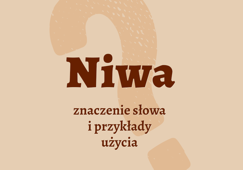 Niwa co to jest co znaczy synonimy przykłady wyjaśnienie znaczenie słownik Polszczyzna.pl