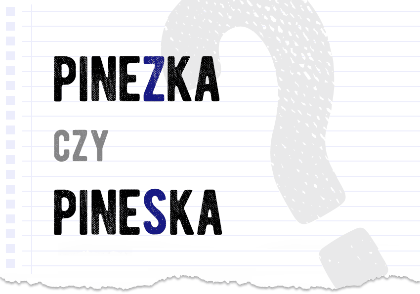 Pinezka czy pineska - jak się pisze? s czy z piszemy? Poprawna forma, zapis, wymowa. Ortografia. Polszczyzna.pl