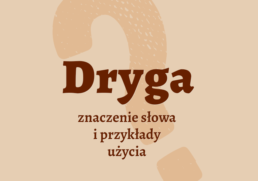 Dryga co to jest co znaczy synonimy przykłady wyjaśnienie znaczenie słownik Polszczyzna.pl