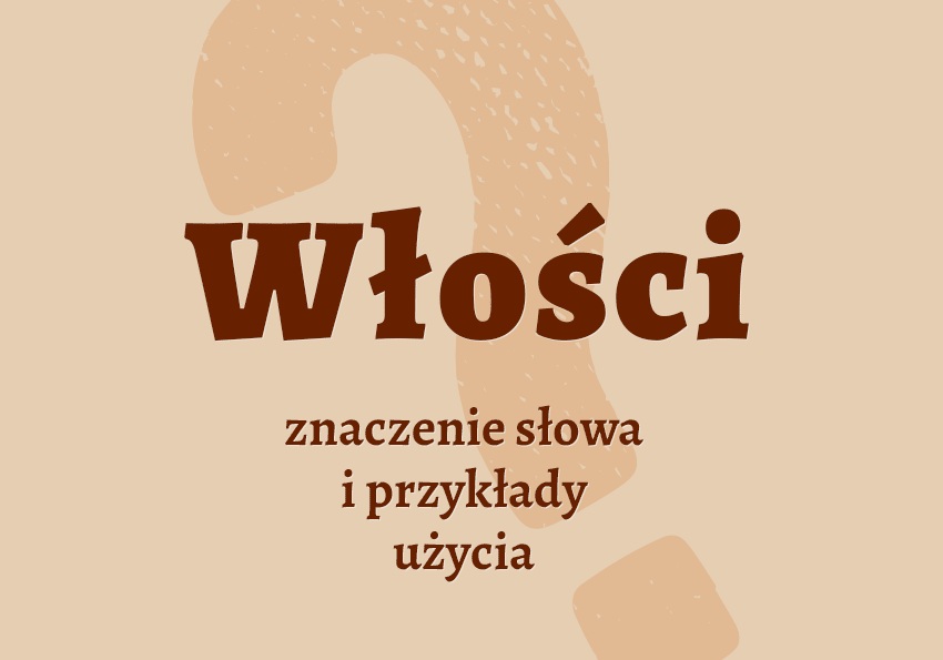 Włości co to jest co znaczy synonimy przykłady wyjaśnienie znaczenie słownik Polszczyzna.pl