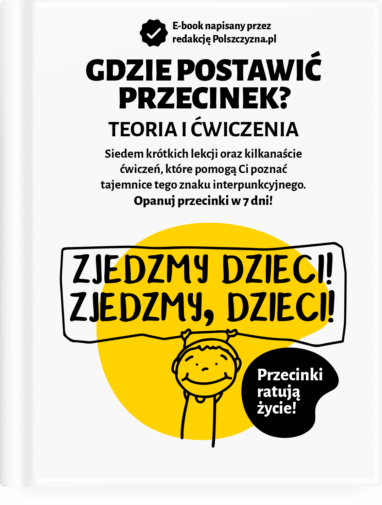 Gdzie postawić przecinek? Praktyczny e-book od Polszczyzna.pl