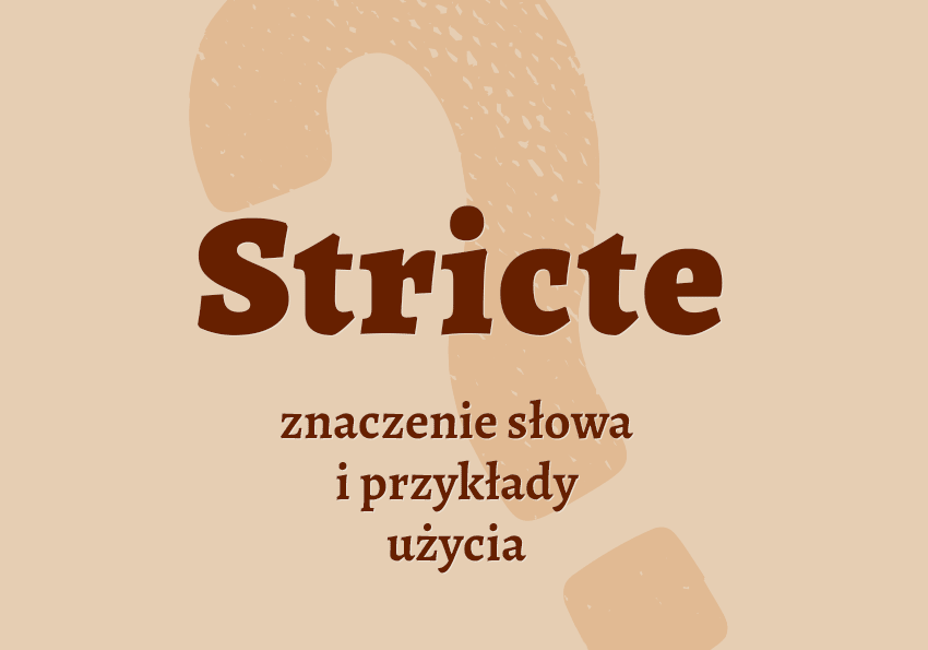 Stricte co to jest co znaczy synonimy przykłady wyjaśnienie znaczenie sensu stricto słownik Polszczyzna.pl