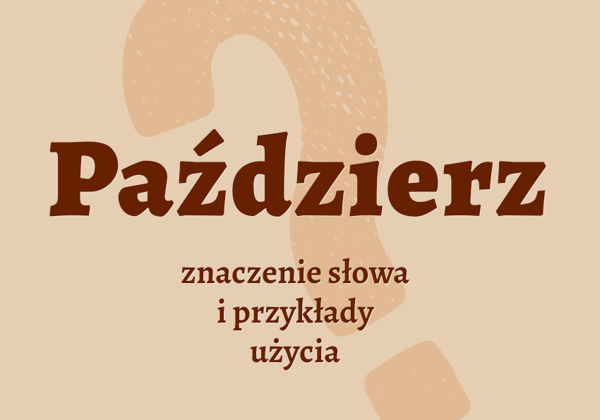 Paździerz co to jest synonimy odmiana przykłady wyjaśnienie znaczenie słownik Polszczyzna.pl
