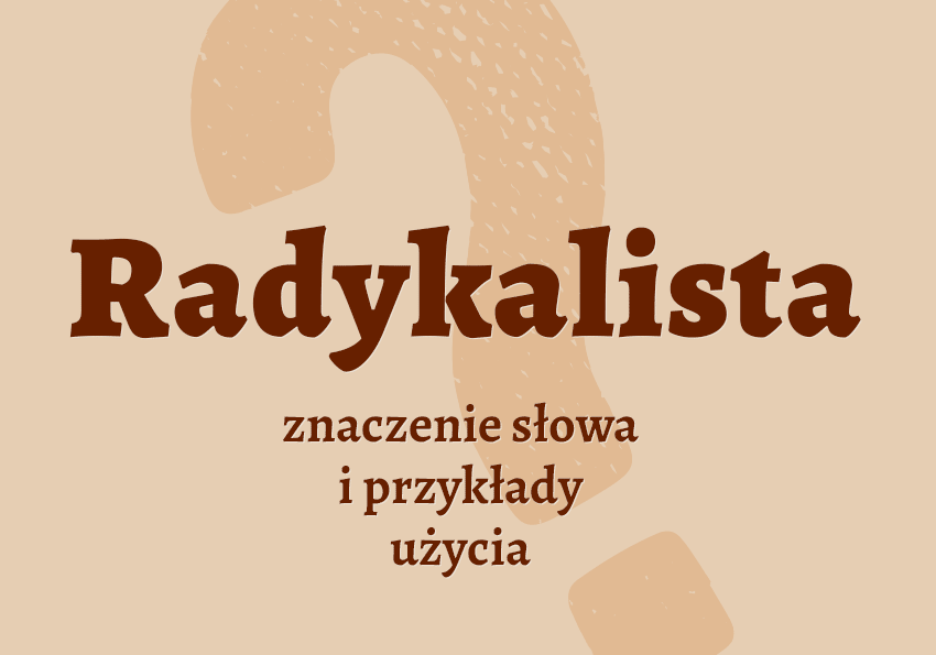 radykalista kto to jest przykłady synonim wyjaśnienie odmiana znaczenie słownik Polszczyzna.pl