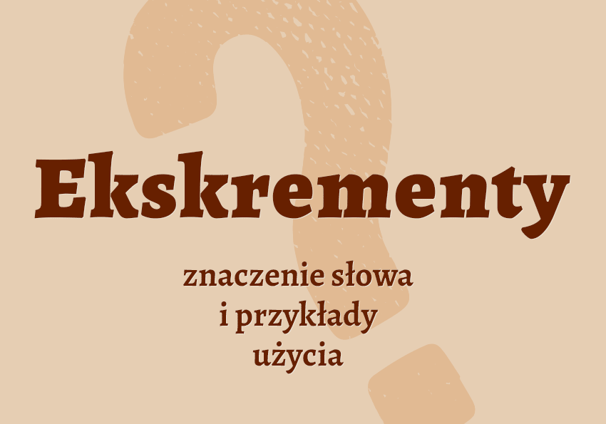 Ekskrementy - co to jest przykłady wyjaśnienie znaczenie synonimy Polszczyzna.pl