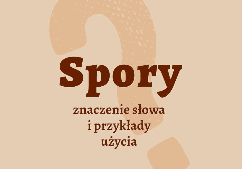 Spory co to znaczy czyli jaki synonimy znaczenie słownik Polszczyzna.pl