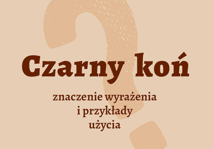Czarny koń - co lub kto to jest przykłady wyjaśnienie znaczenie słownik odmiana Polszczyzna.pl Czarny koń - co lub kto to jest przykłady wyjaśnienie znaczenie słownik odmiana Polszczyzna.pl